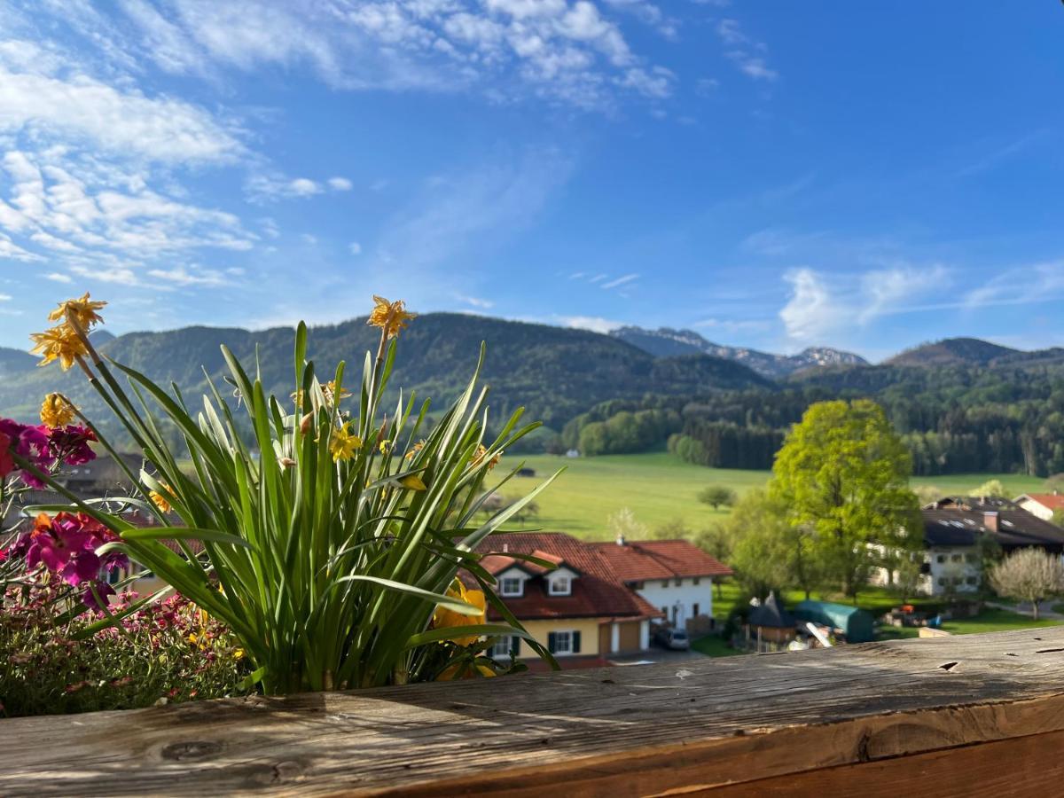 Gasthaus Kampenwand Bernau Bernau am Chiemsee Ngoại thất bức ảnh